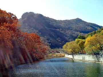 管家婆免费正版资起大全，范文芳几岁